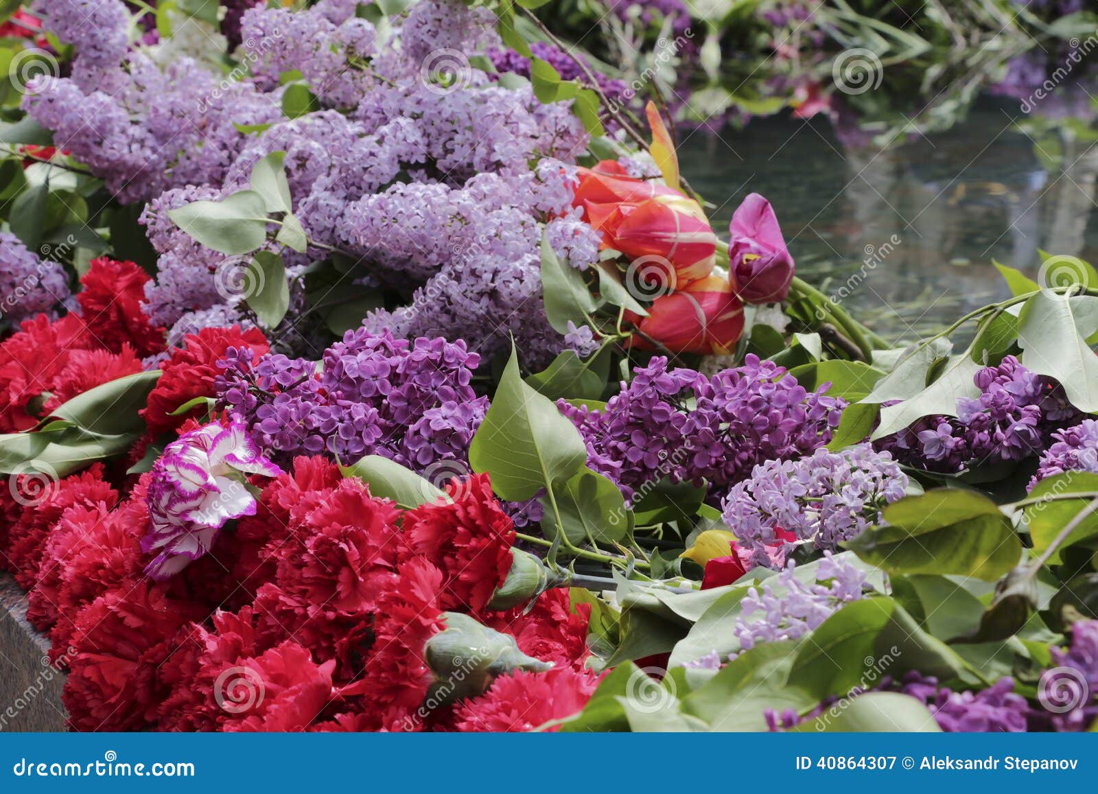 Flowers at a Memorial on Victory Day Stock Image Image of flowers