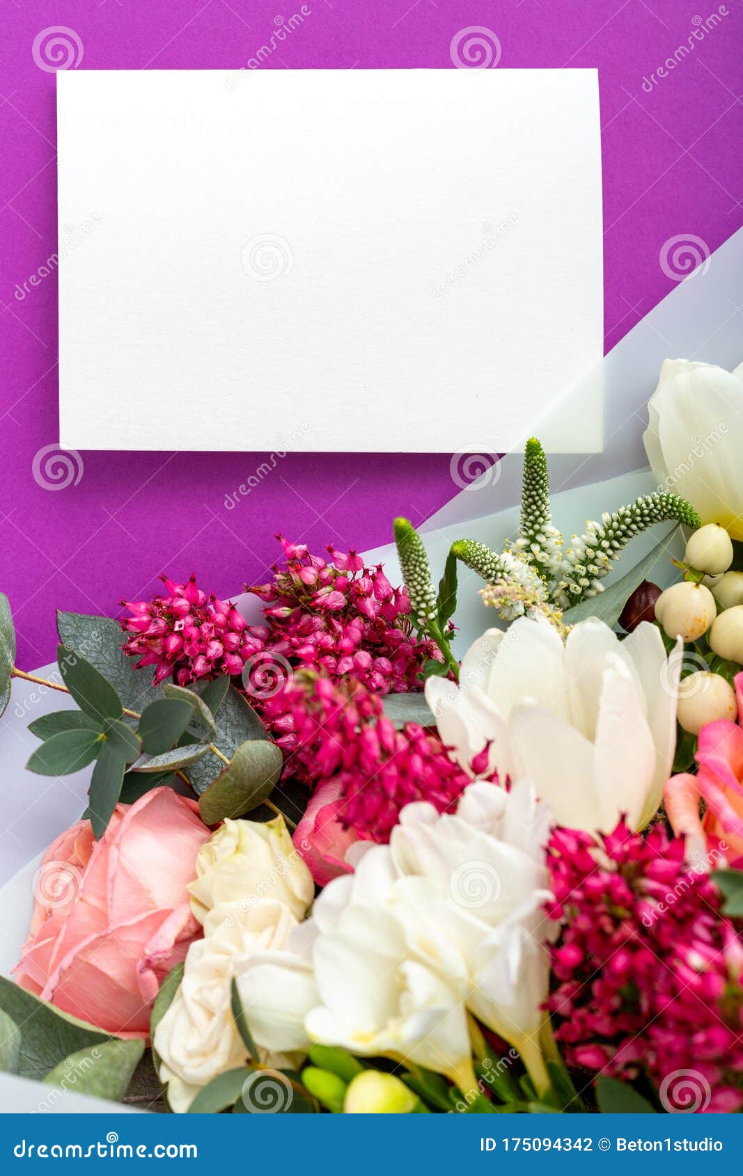 Download Flowers Mock Up Gift Card Congratulations Card In Bouquet Of Roses Tulips Eucalyptus On Purple Background White Blank Card Stock Photo Image Of Letter Greeting 175094342
