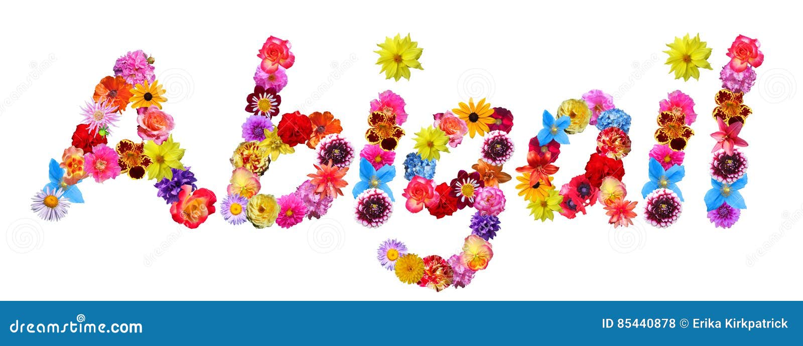 Flowers Name Abigail stock illustration. Illustration of background