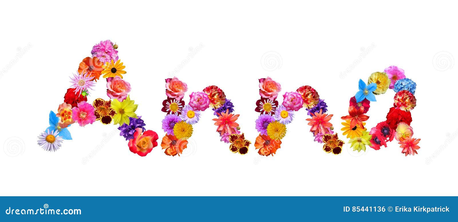 Flowers Name Anna stock illustration. Illustration of font 85441136