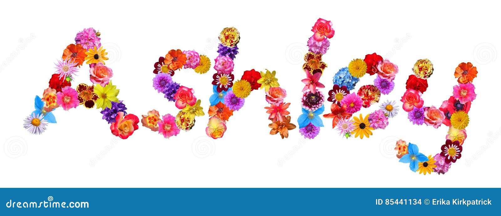 Flowers Name Ashley stock illustration. Illustration of colorful 85441134