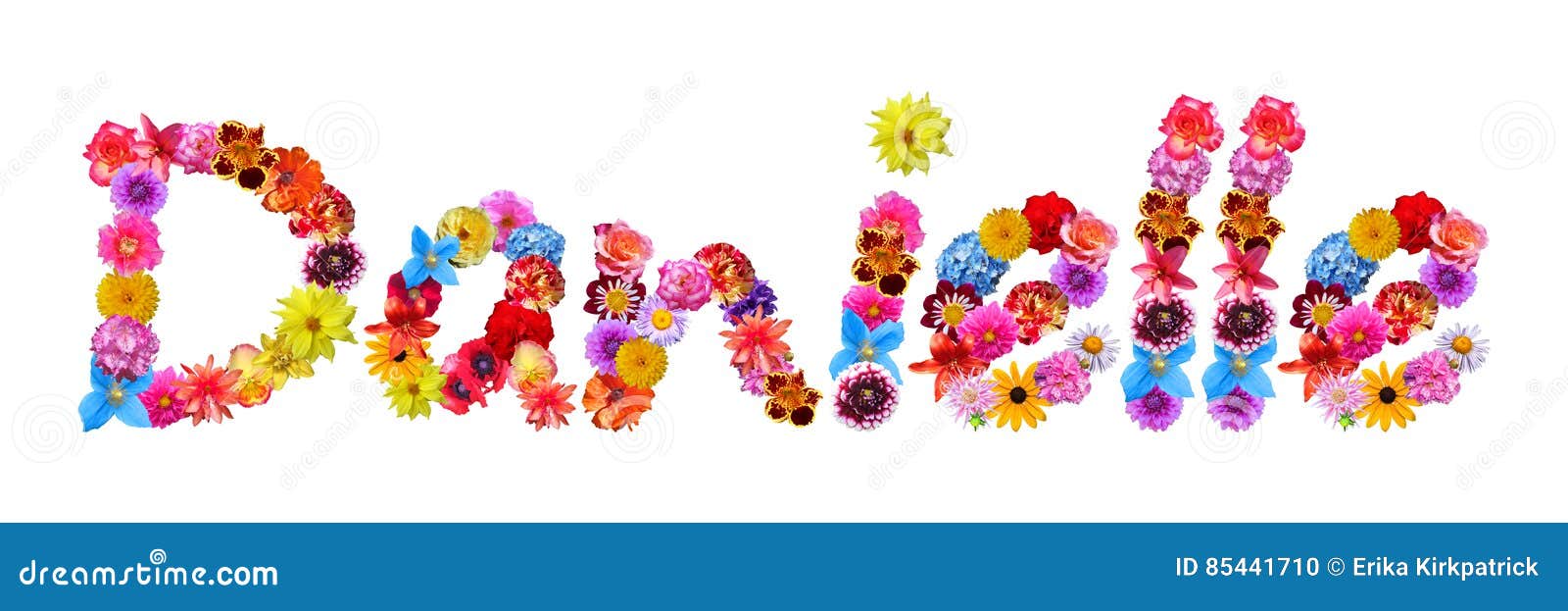 Flowers Name Danielle stock illustration. Illustration of customize