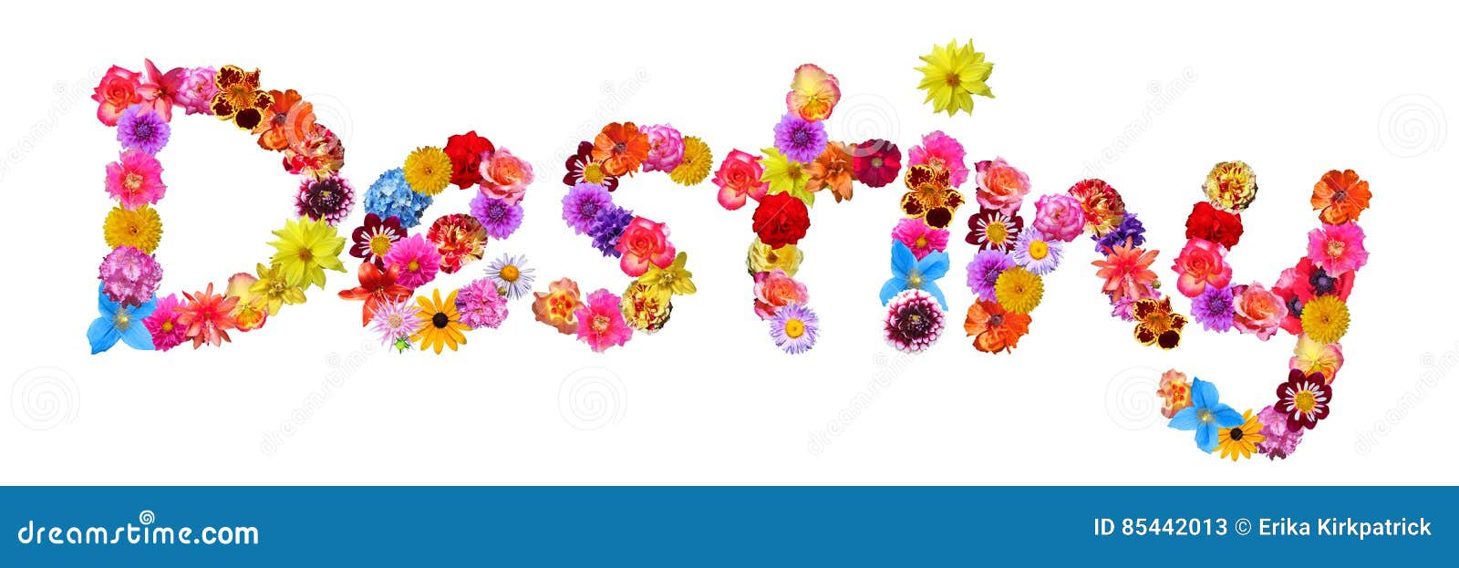 Flowers Name Destiny stock illustration. Illustration of lettering