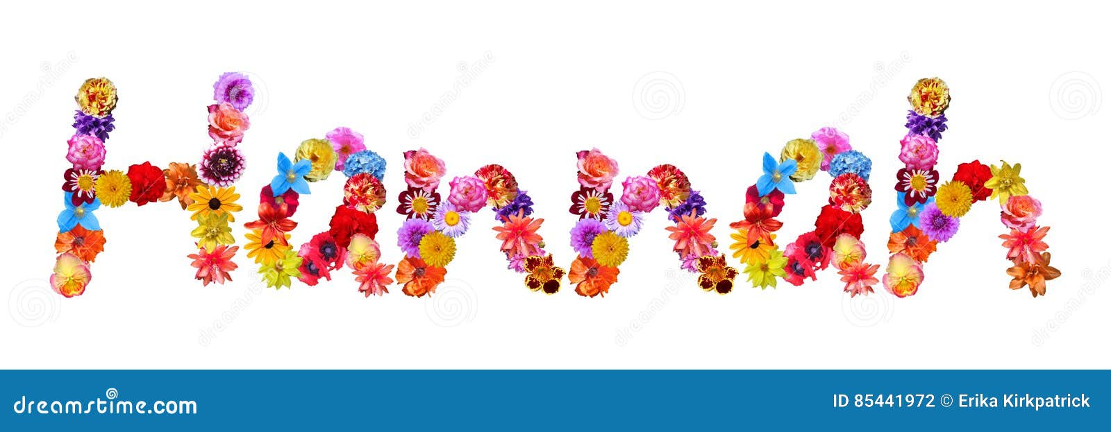 Flowers Name Hannah stock illustration. Illustration of design 85441972
