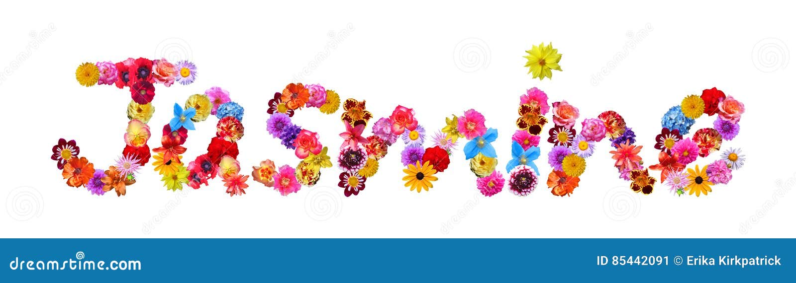 Flowers Name Jasmine stock illustration. Illustration of alphabet