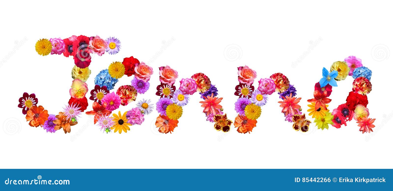 Flowers Name Jenna stock illustration. Illustration of jenna 85442266