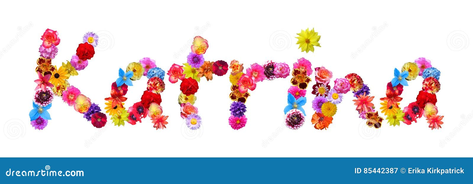 Name Katrina Stock Illustrations 2 Name Katrina Stock Illustrations