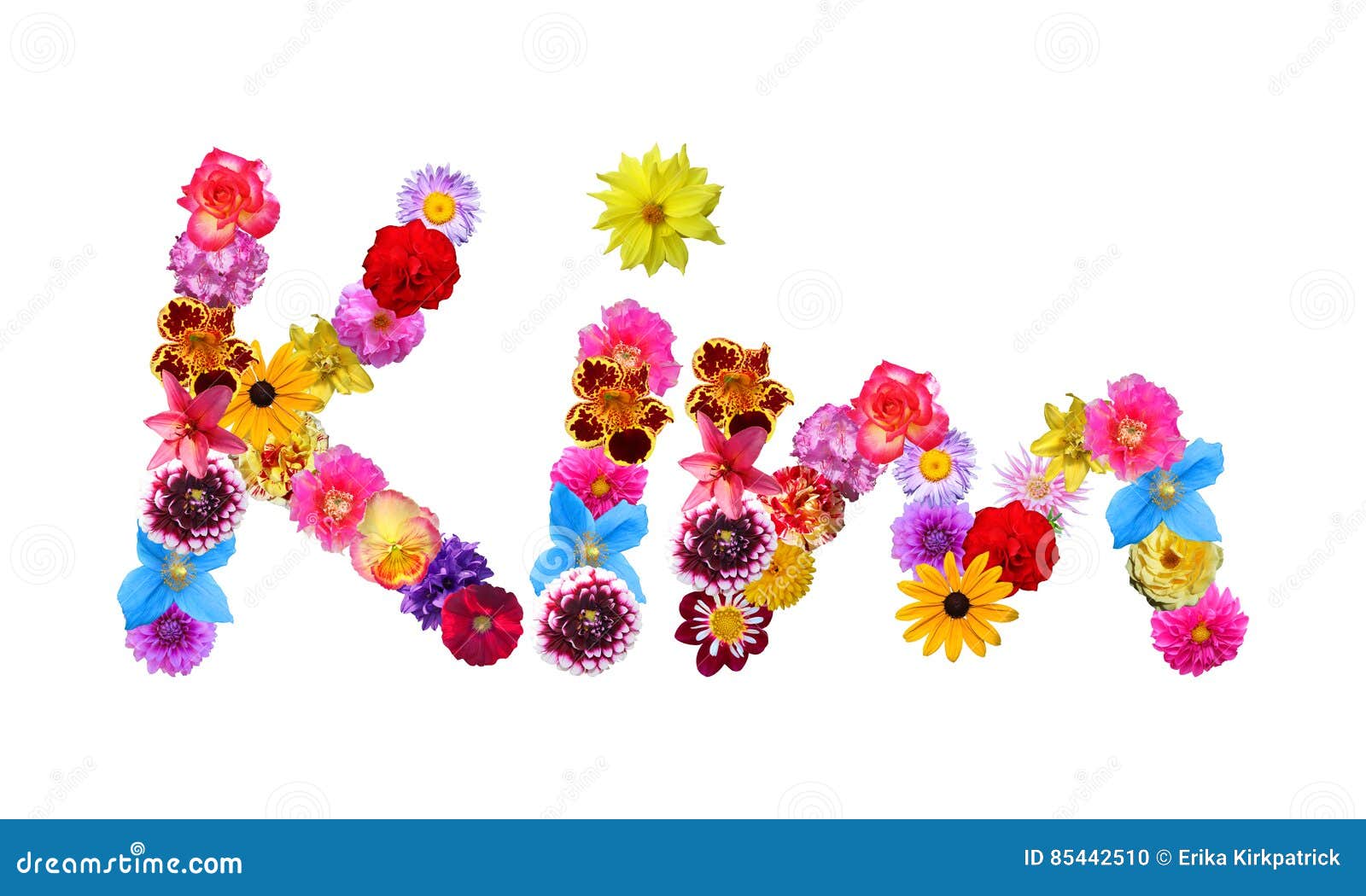 Flowers Name Alyssa RoyaltyFree Stock Photography