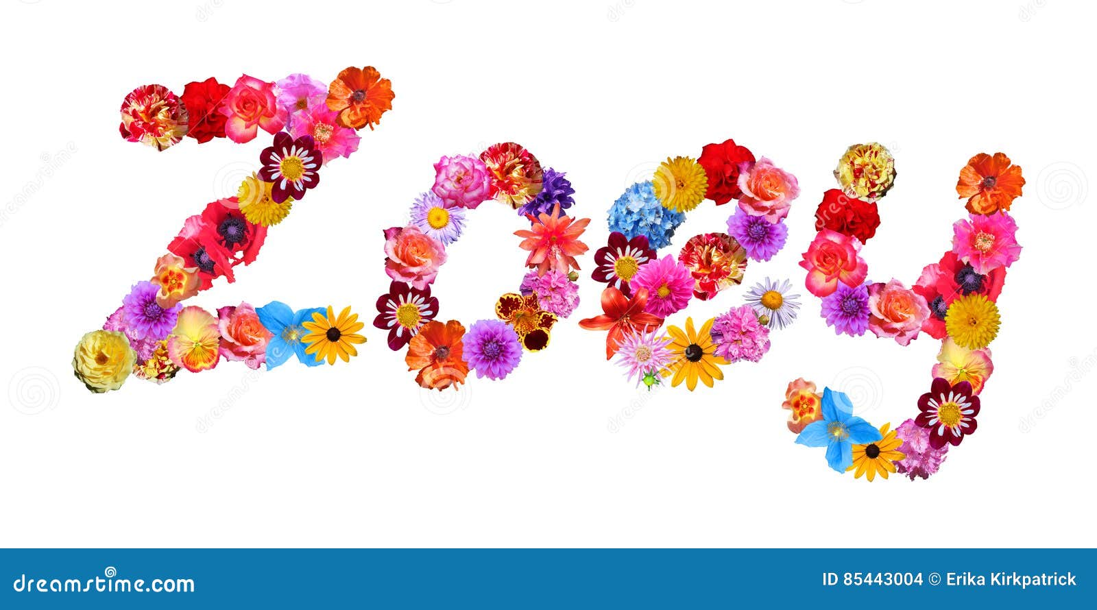 Flowers Name Zoey stock illustration. Illustration of ...