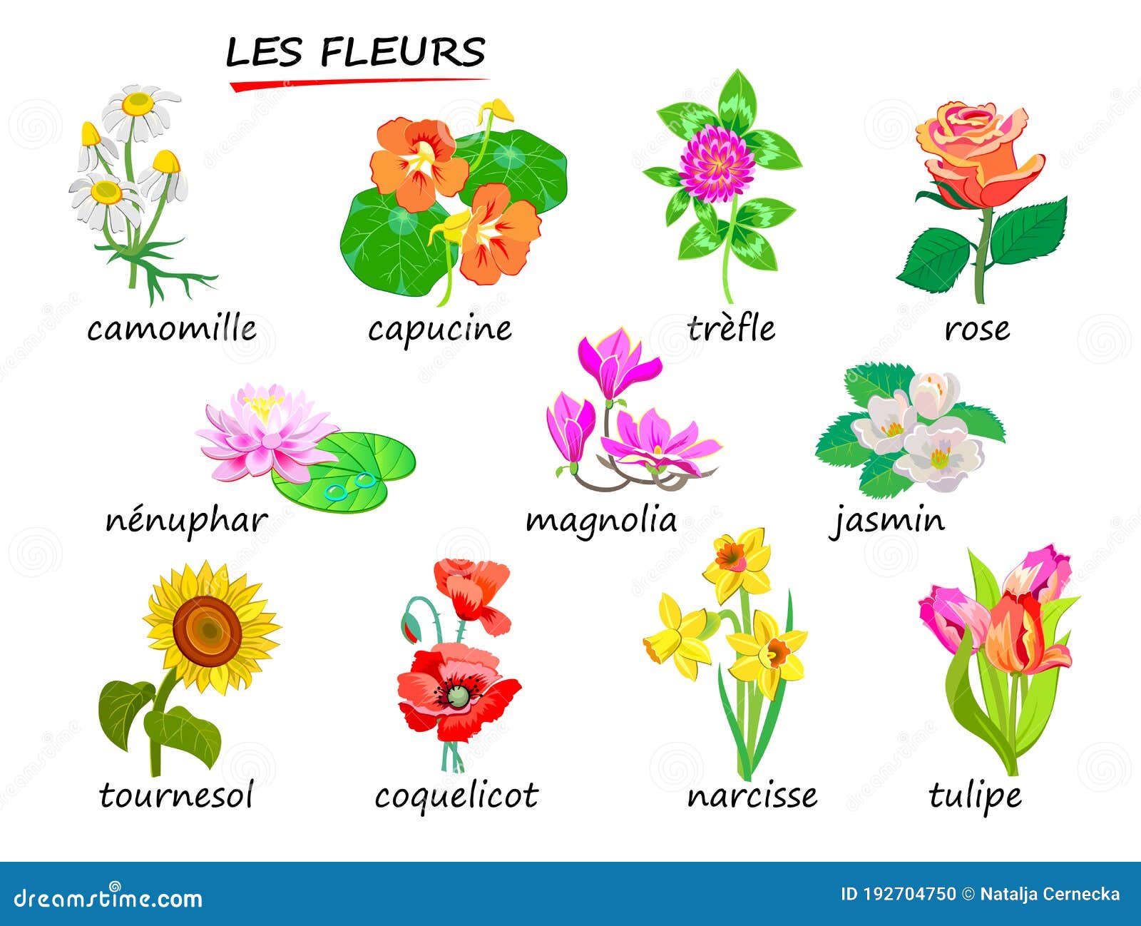 Flowers Names Stock Illustrations 364 Flowers Names Stock Illustrations Vectors Clipart Dreamstime