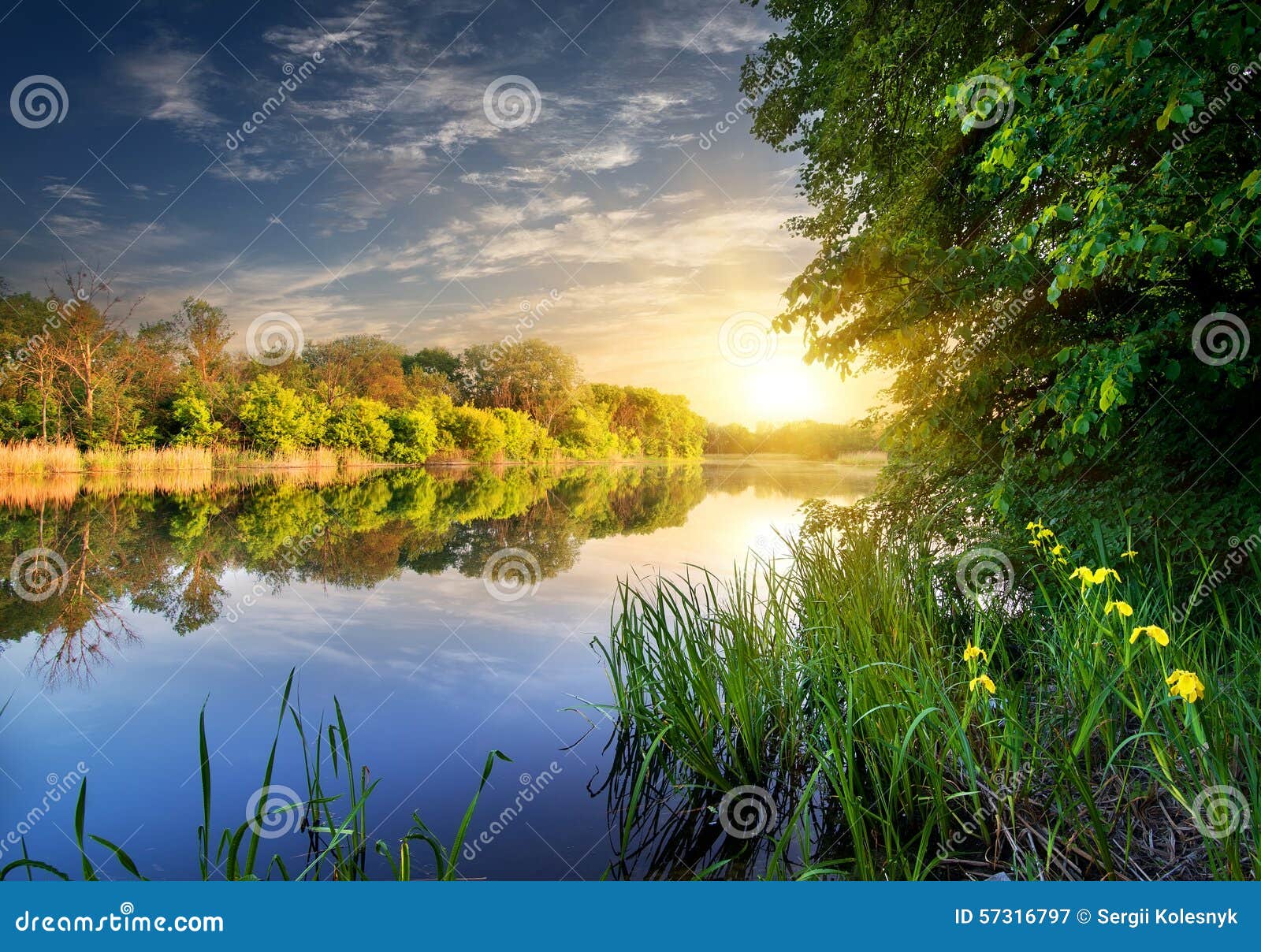 Flowers near river stock image. Image of colorful, sunrise 57316797