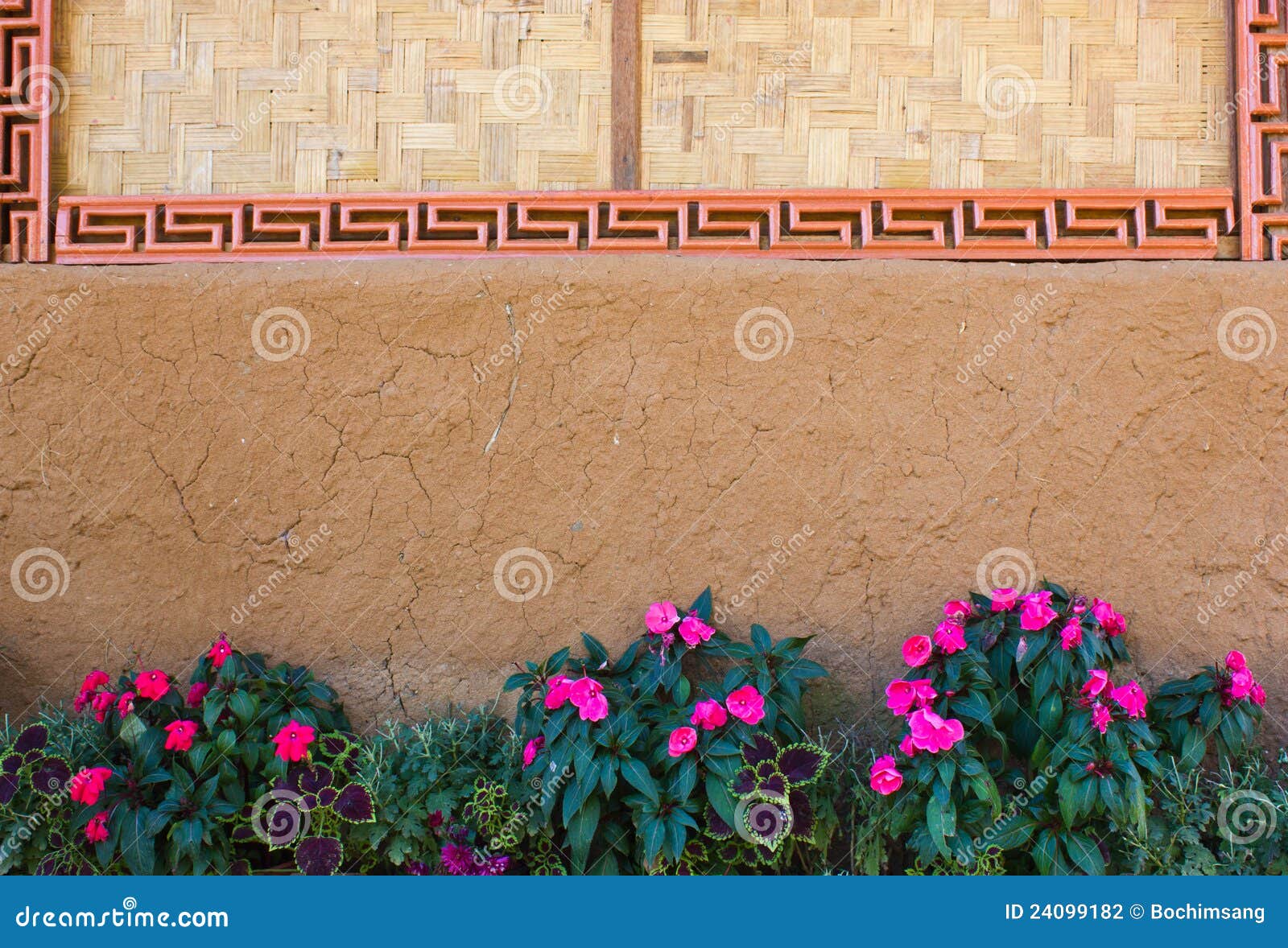 Flowers near the wall stock photo. Image of outdoors 24099182