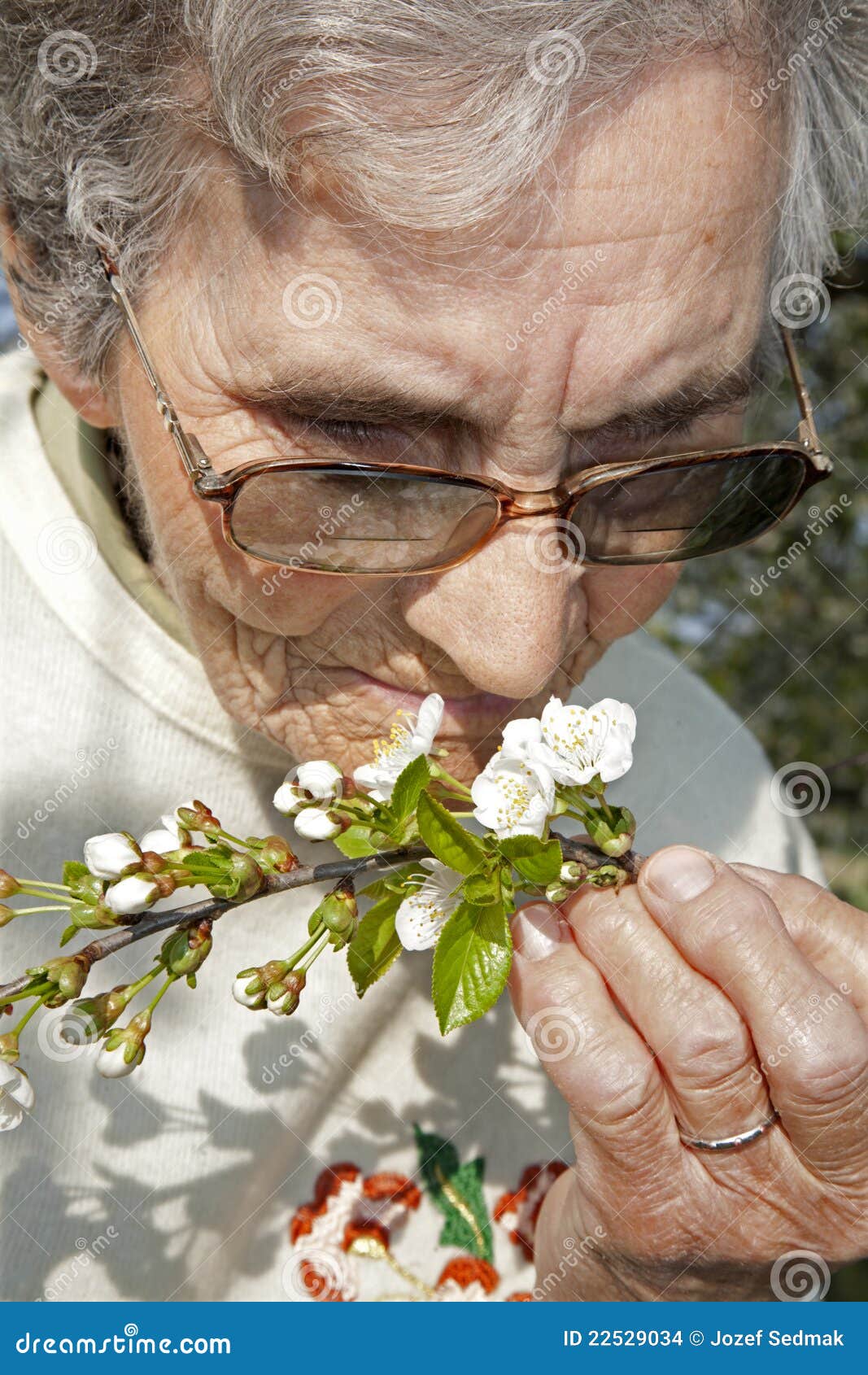 Flowers and Old Woman spring Stock Photo Image of grandmother