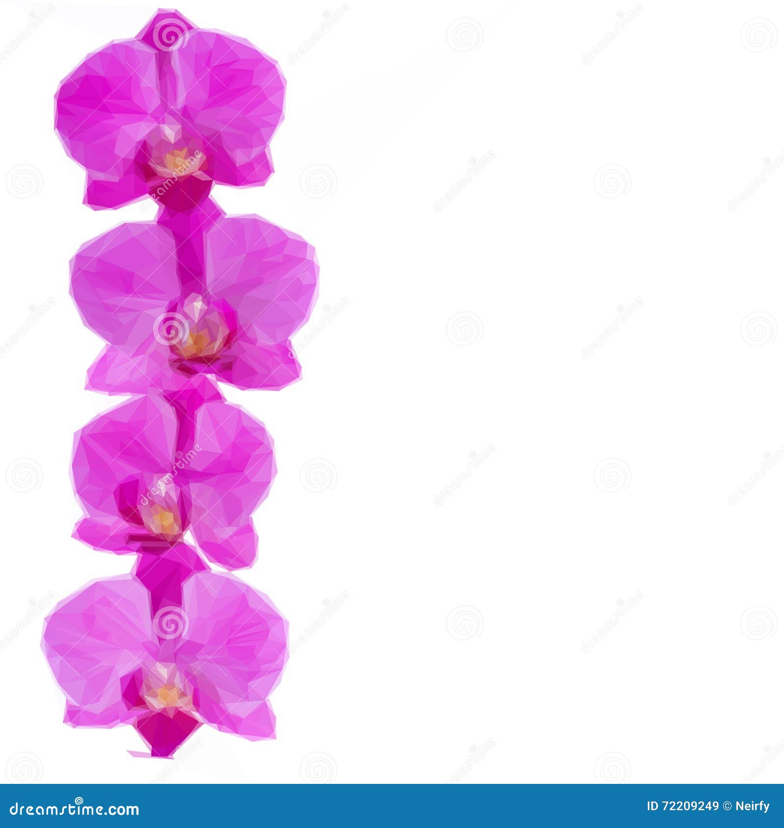 Flowers of orchid border stock vector. Illustration of natural 72209249