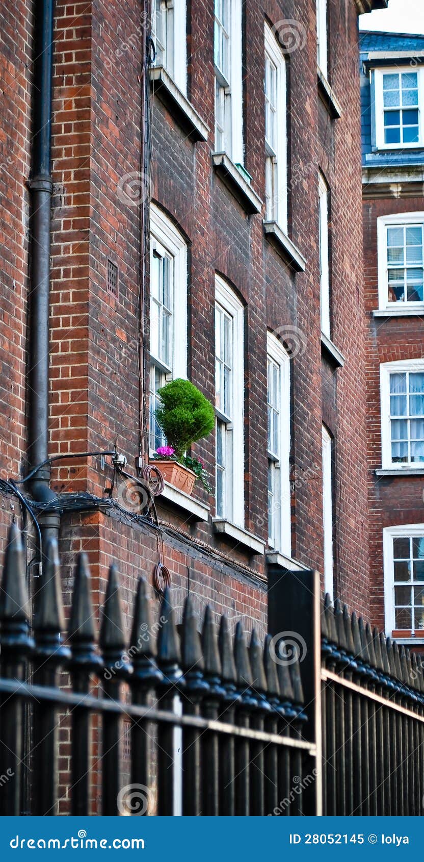Flowers outside the window stock image. Image of style 28052145