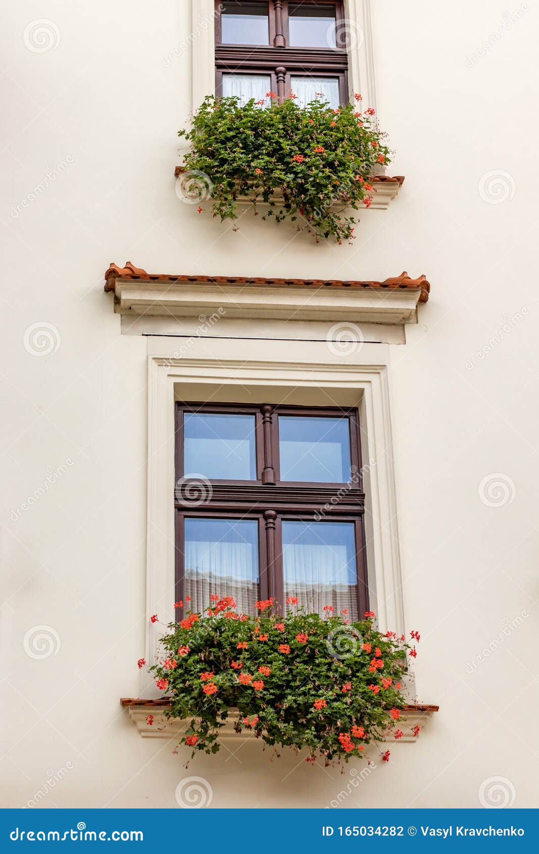Flowers Outside the Window on Beige Wall Stock Photo Image of