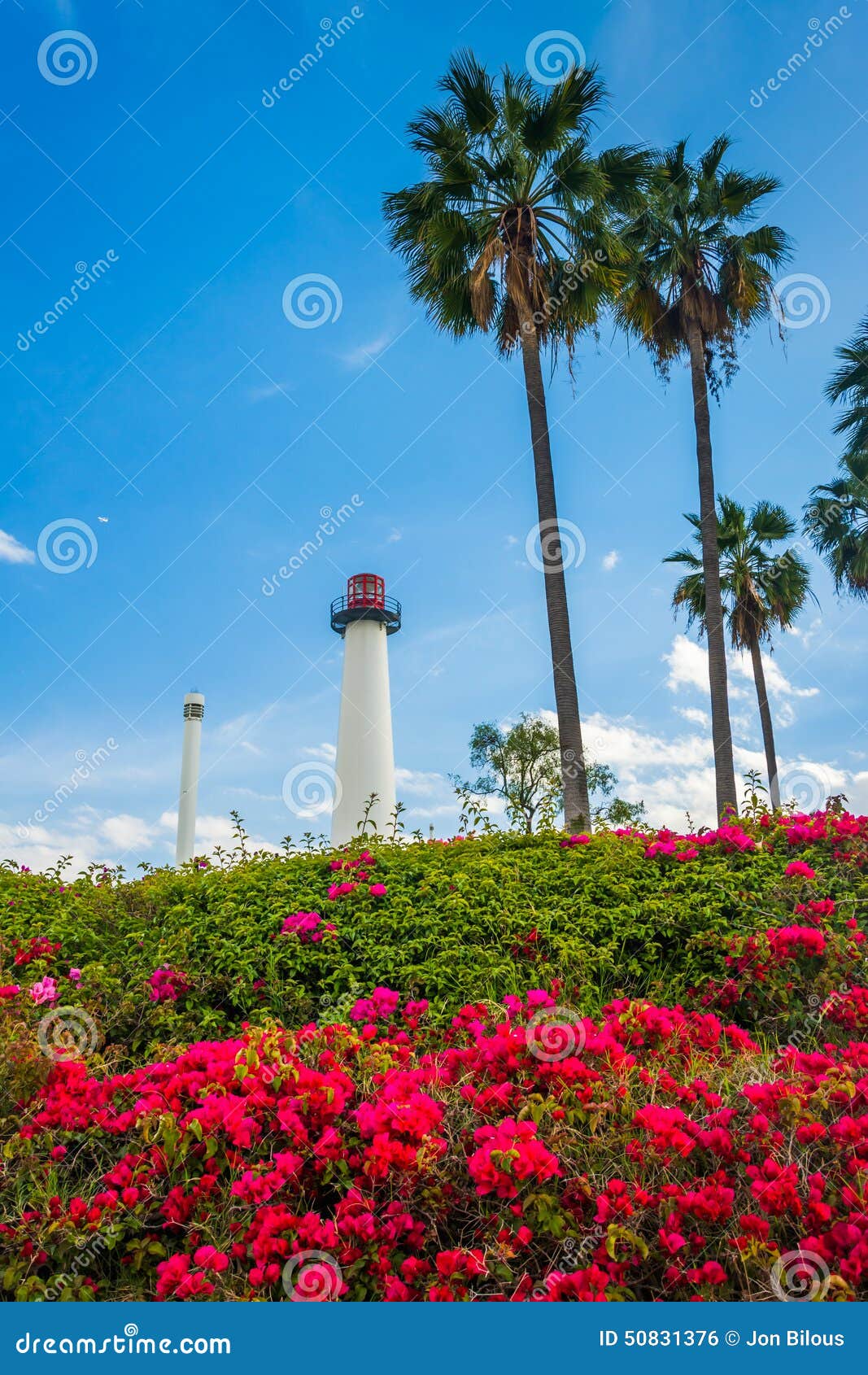 Flowers, Palm Trees, and Long Beach Harbor Lighthouse Stock Photo