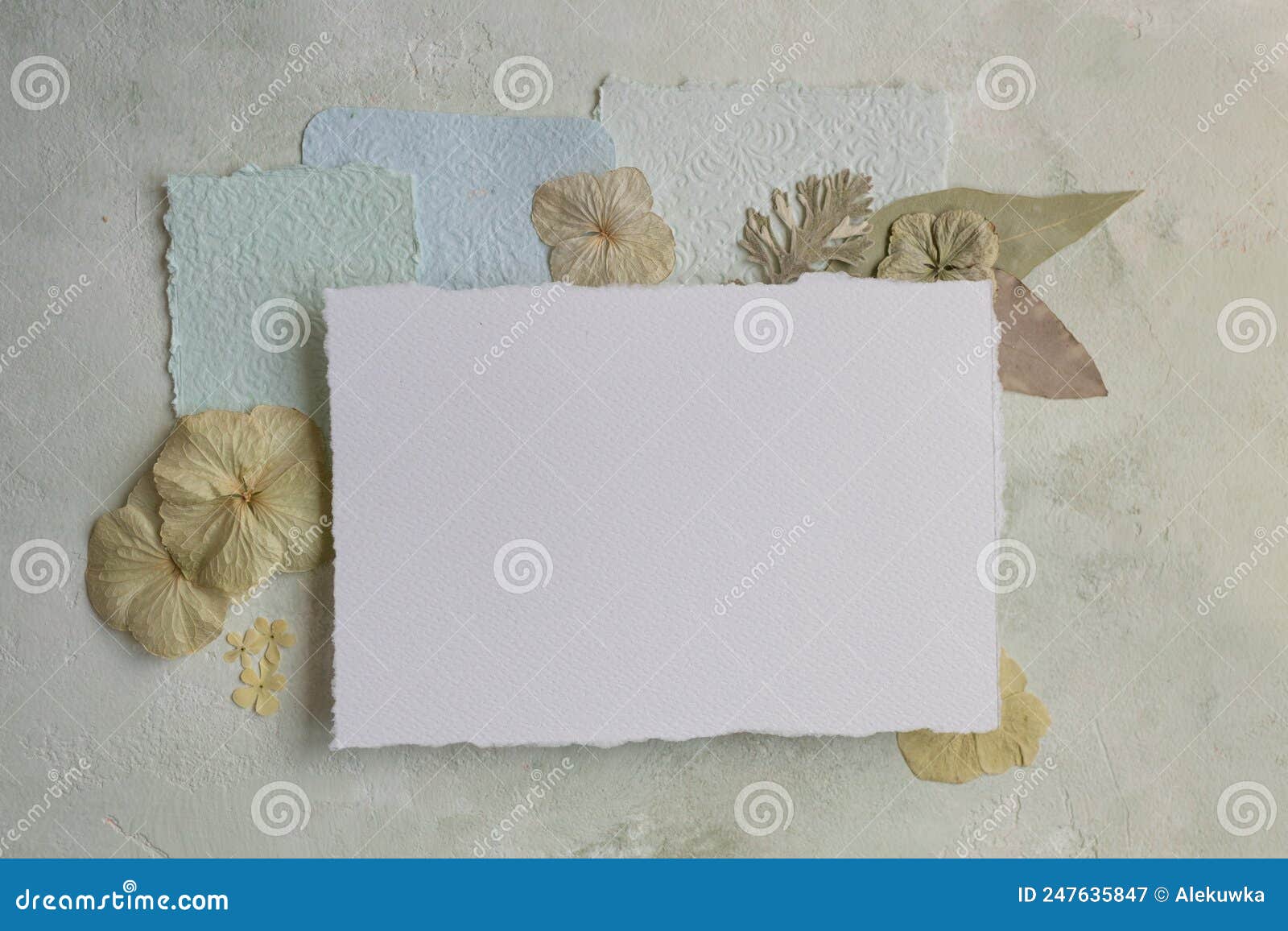 flowers and paper for lettr, card mockup