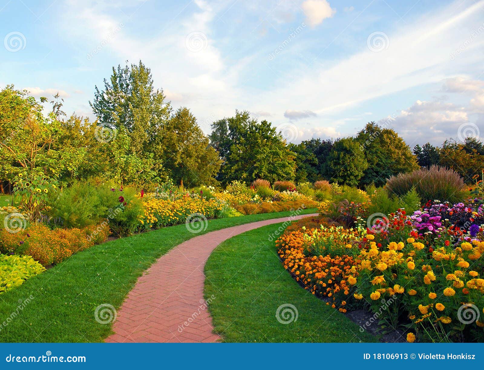 Flowers in the park stock image. Image of scene, relaxation 18106913