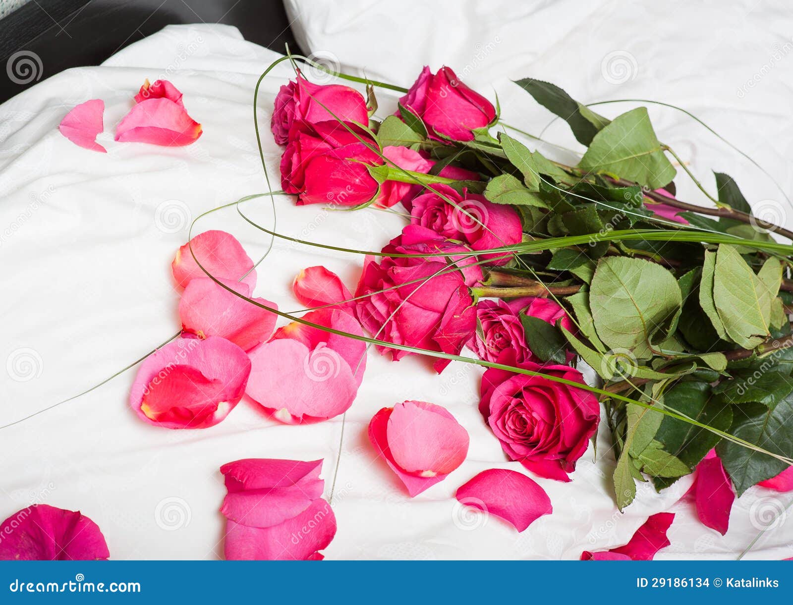 Flowers Pink Roses on a White Pillow Stock Photo Image of present