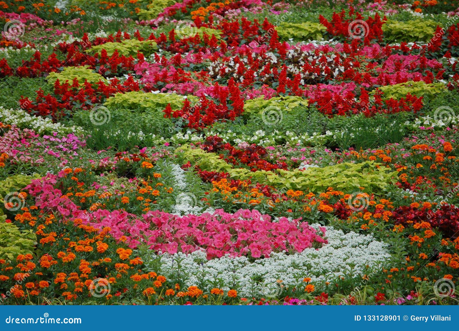 Flowers in Pioneer Courthouse Square, Portland, Oregon Stock Image ...