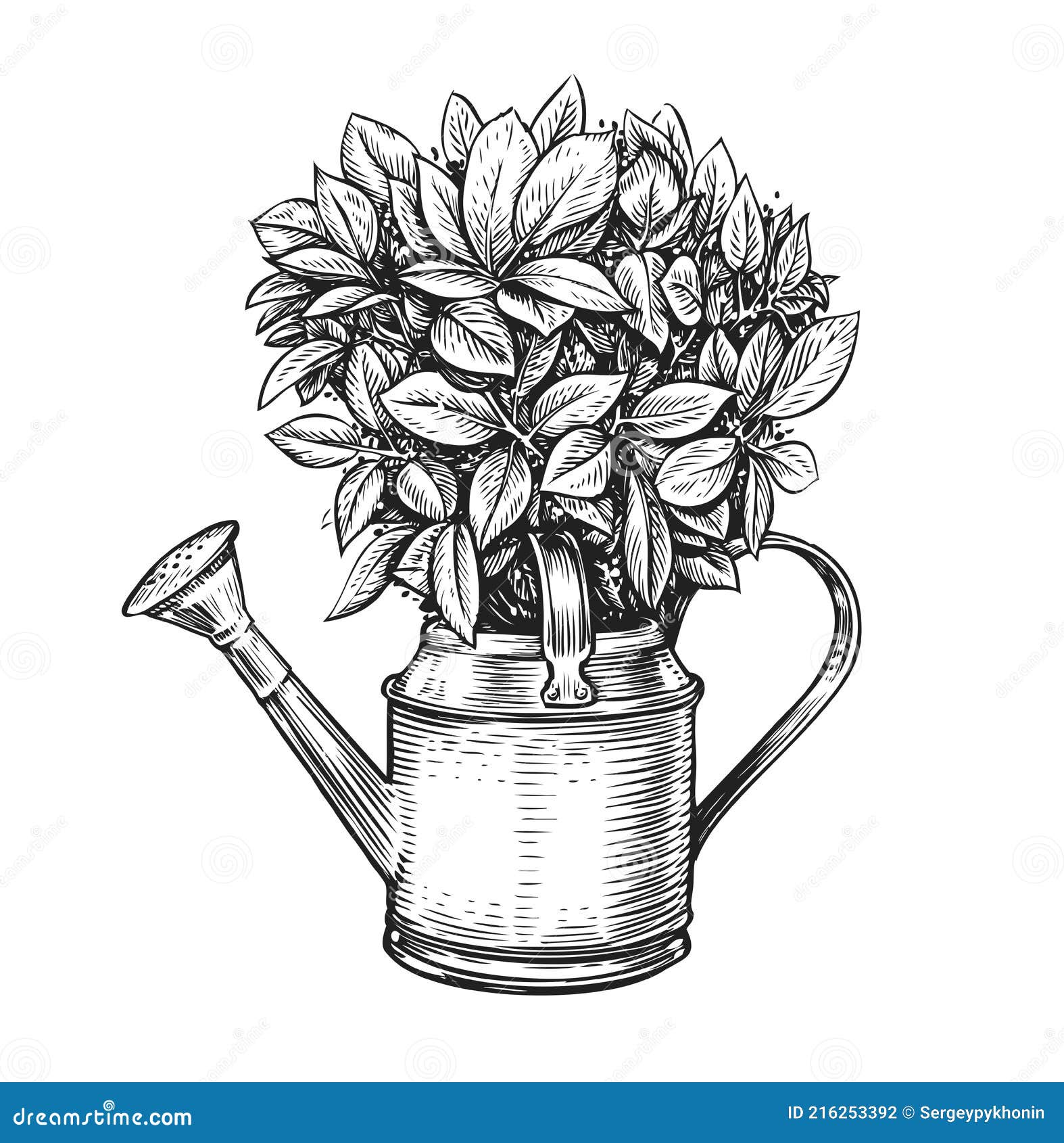 Flowers in a Pot. Bouquet and Watering Can in Sketch Style ...