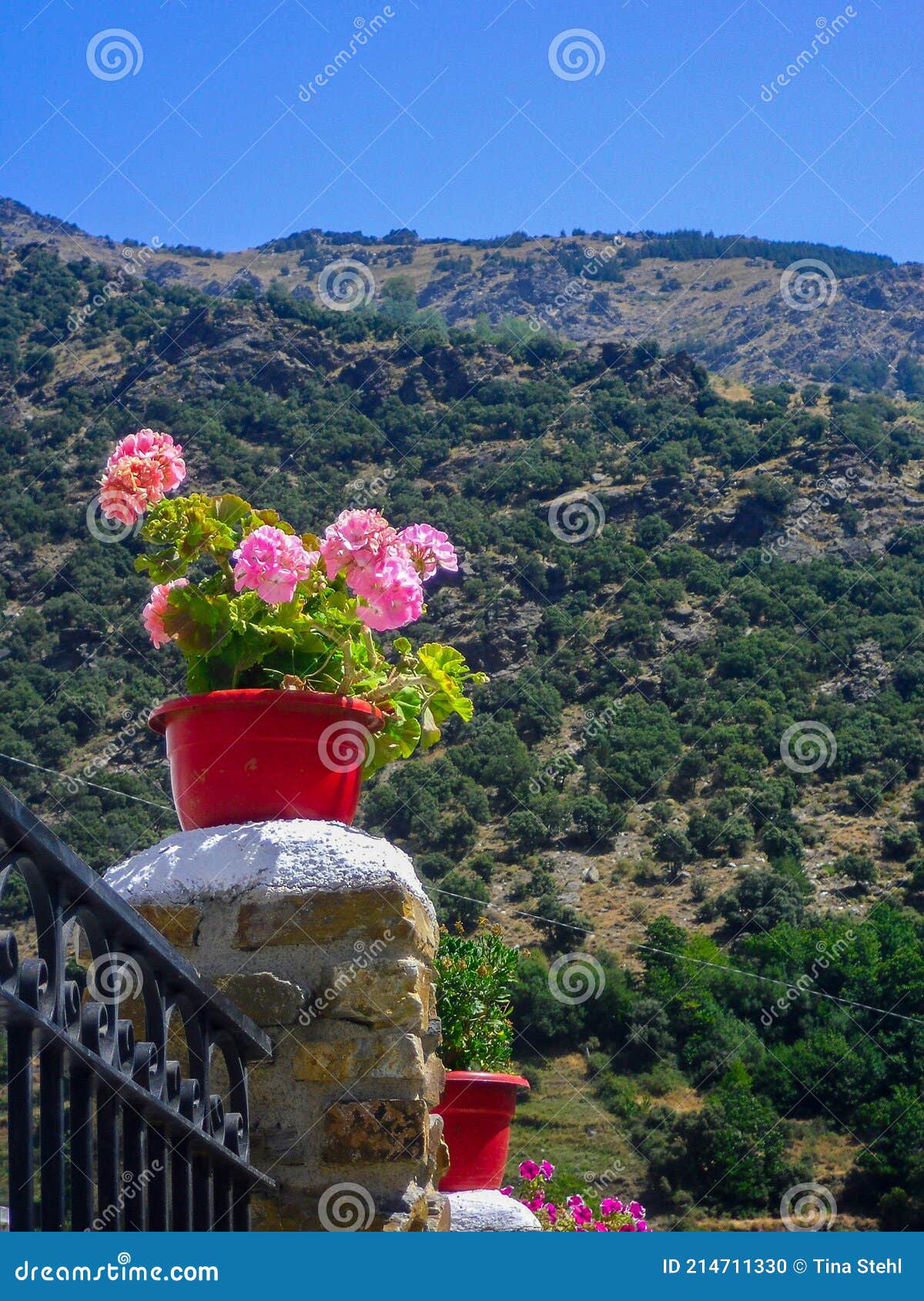 Flowers in Red Plant Pot in Spanisch Alpujarras Stock Photo Image of