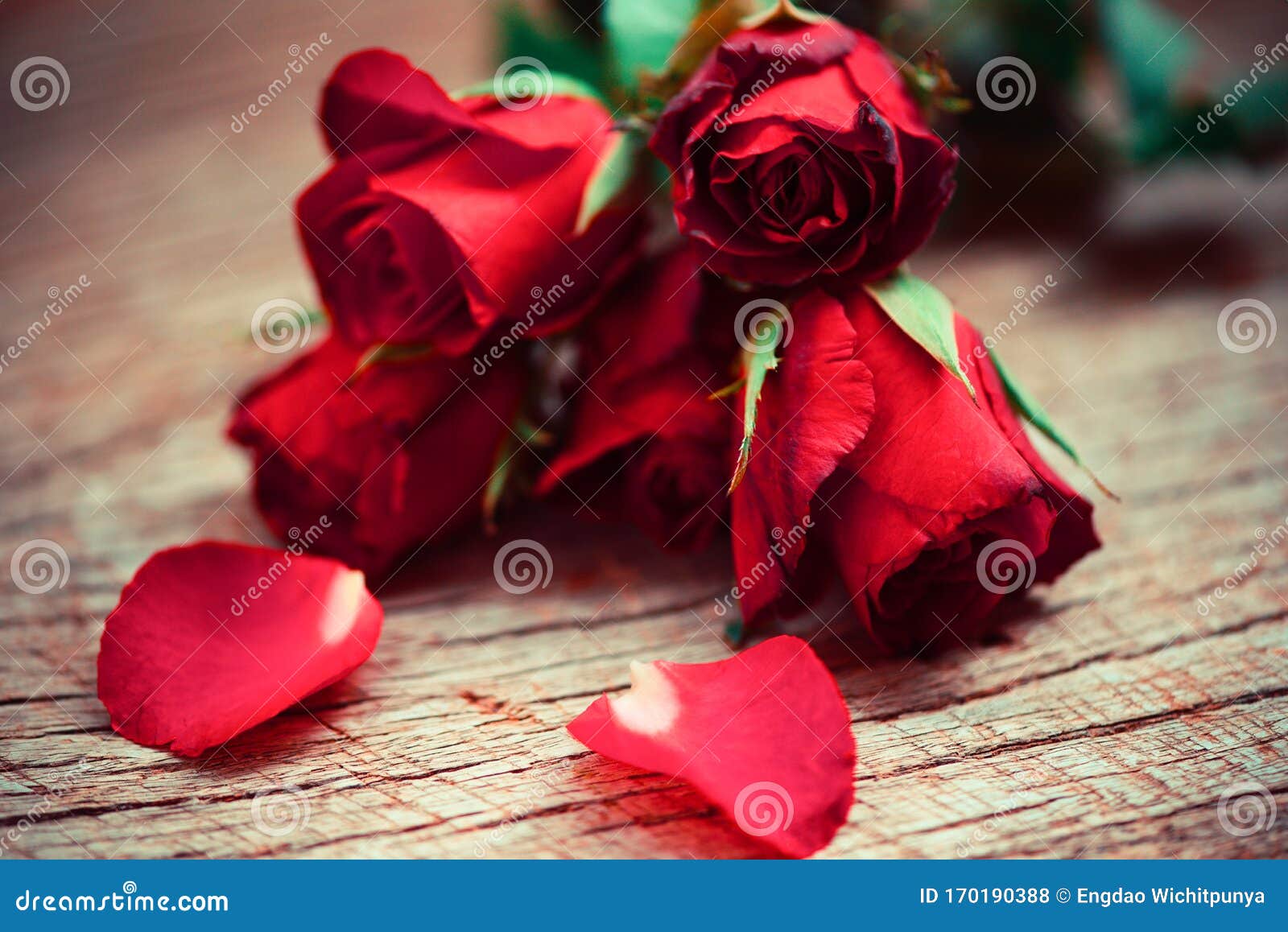 Flowers Rose Petals Romantic Love Valentine Day Concept - Red ...