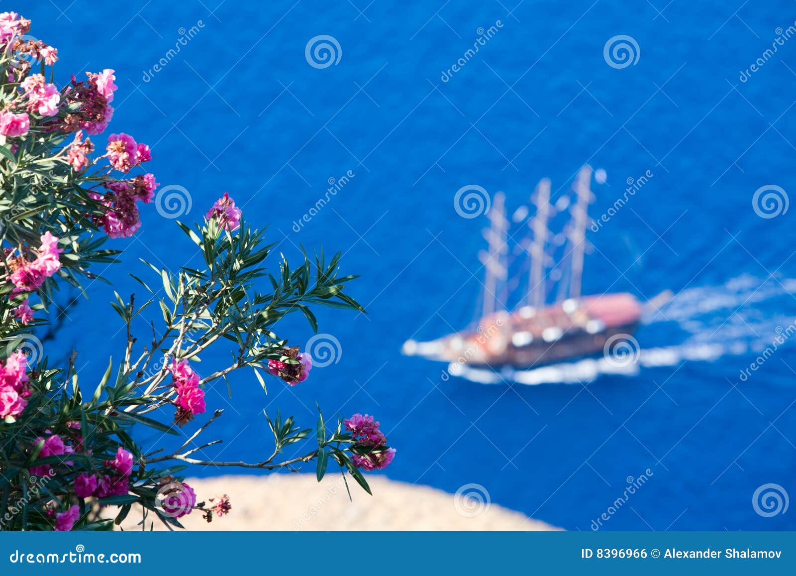 Flowers and sailing boat stock photo. Image of cruise 8396966