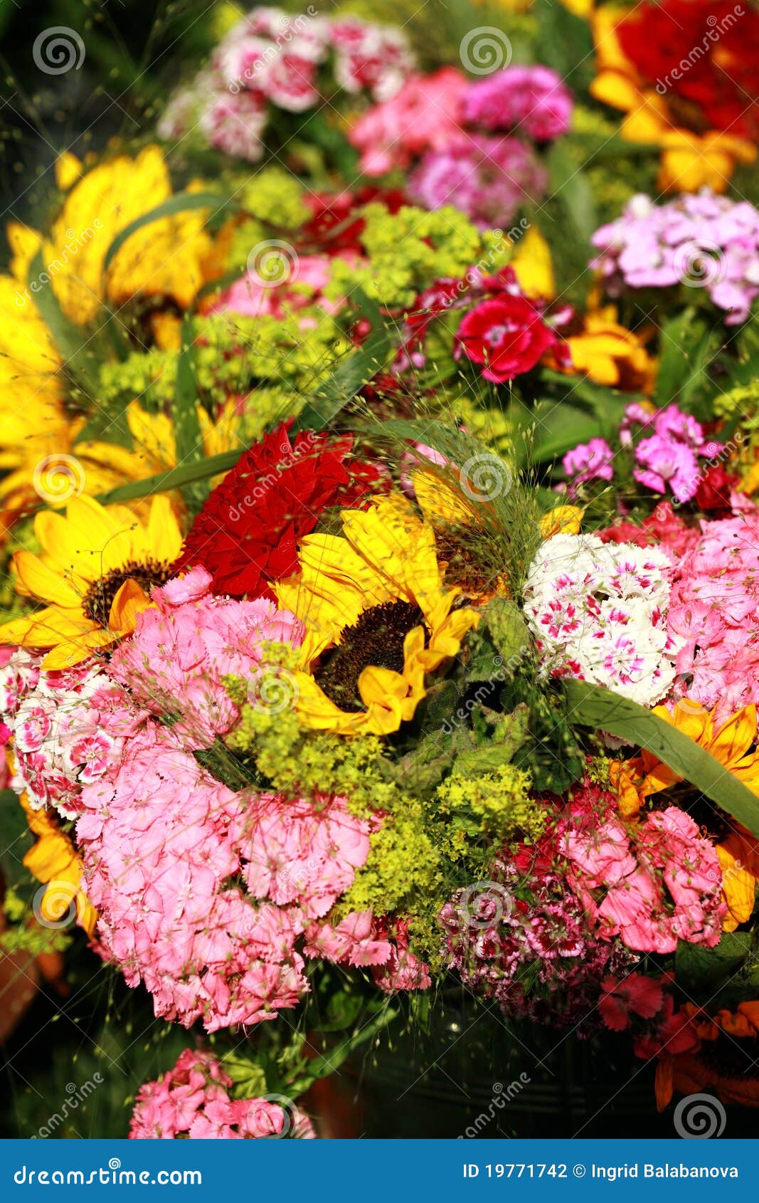 Flowers for sale stock photo. Image of business, gardening 19771742
