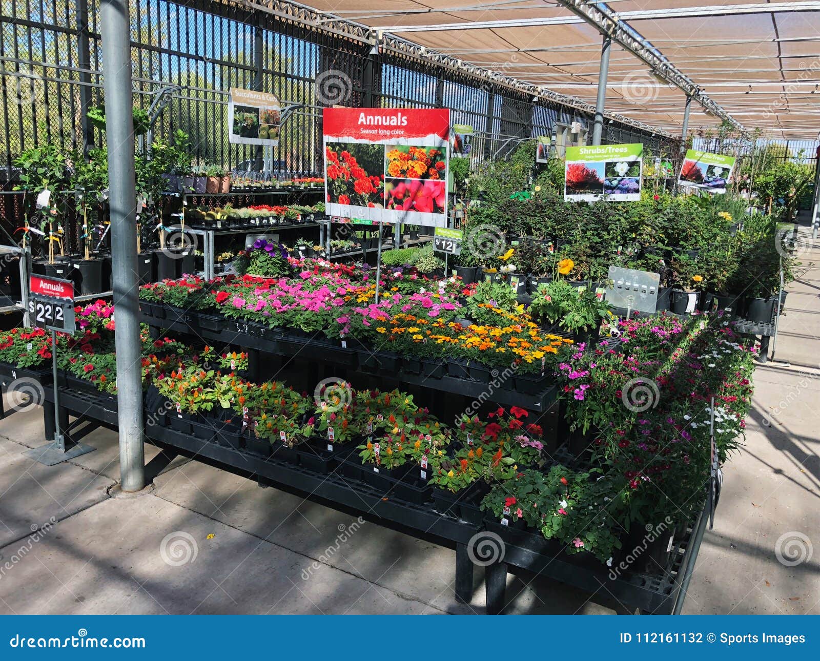 Flowers For Sale At A Local Nursery Editorial Photography Image