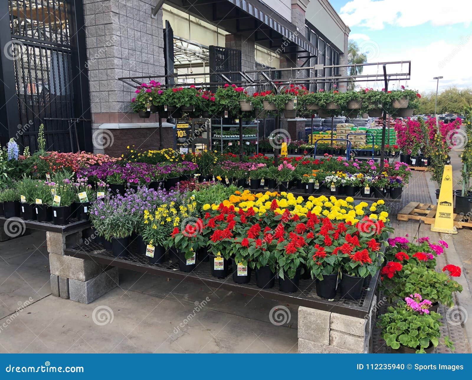 Flowers For Sale At Lowes Garden Center Editorial Image Image Of