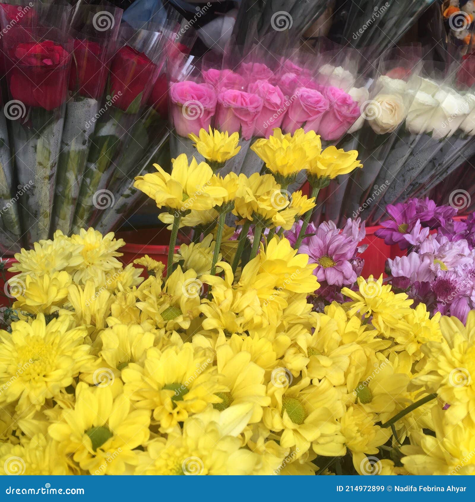 Flowers for sell stock image. Image of flowers, kind 214972899