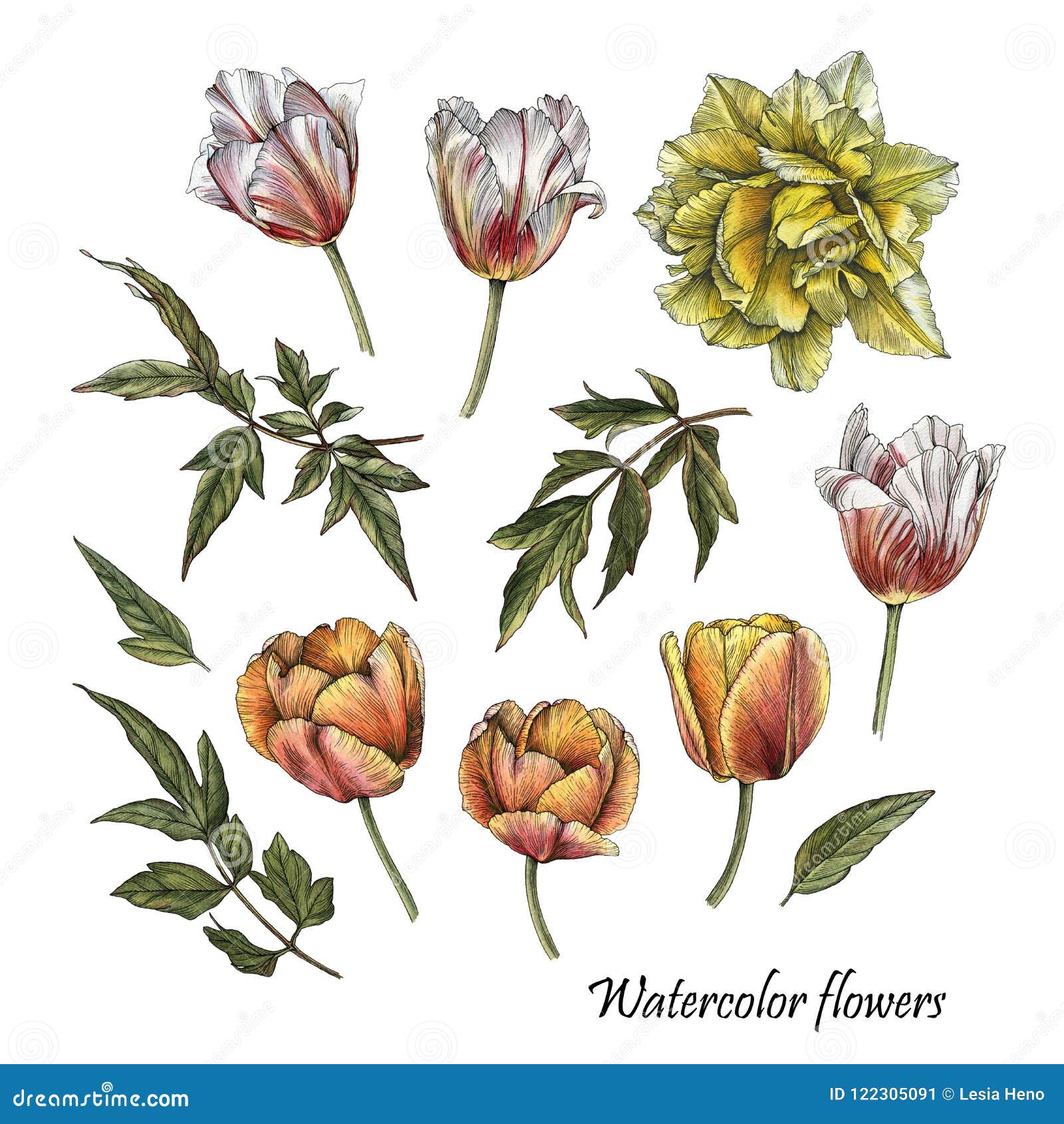 Pink Floral Watercolour Botanical Artist Cards Gift Pack of Four with Poppies Fabulous Dahlia and Tulips