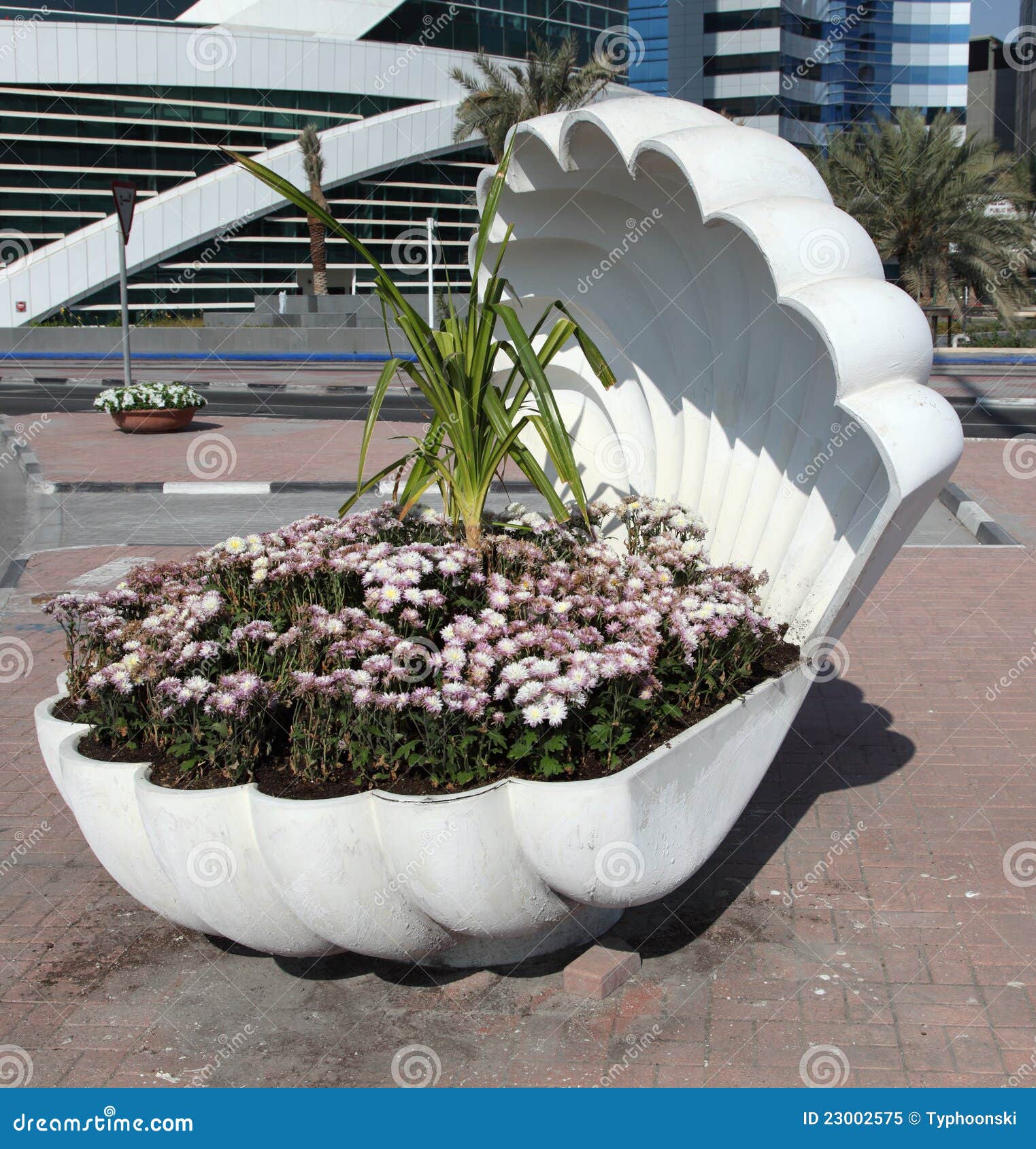 Flowers in the shell, Doha stock image. Image of downtown 23002575