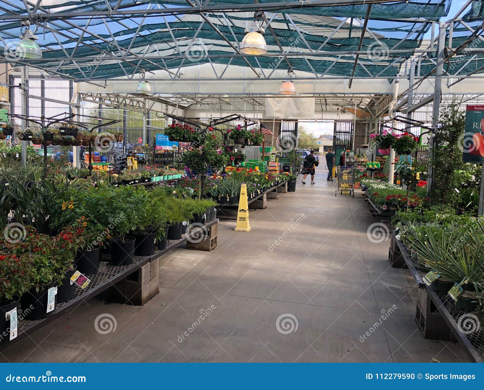 Flowers for Sale at Lowes Garden Center Editorial Image Image of