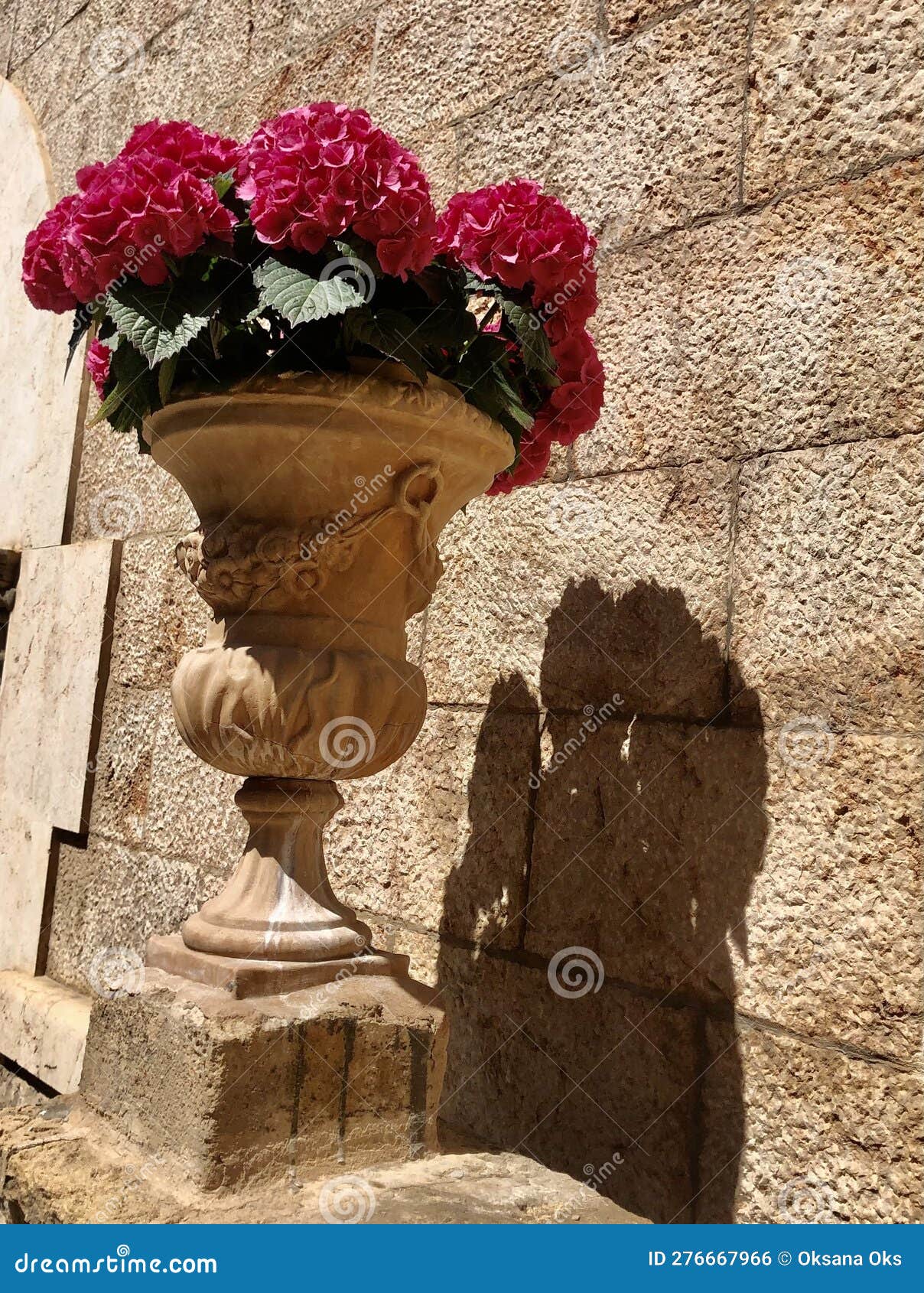 flowers in a stone pot.