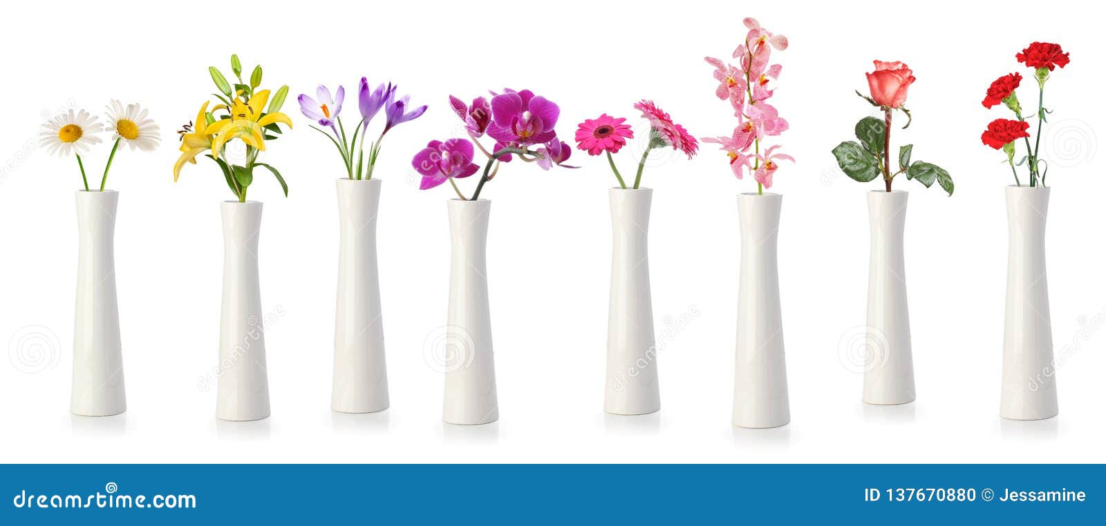 Flowers in Tall White Vases Stock Photo Image of closeup, decorative 137670880
