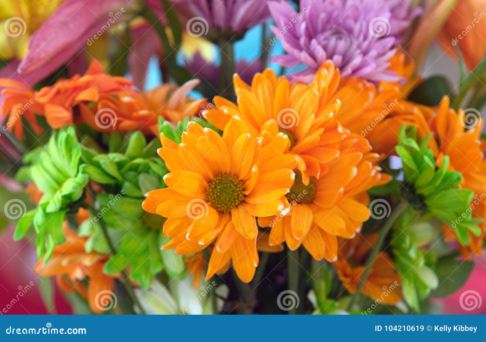 Flowers To Brighten Your Day Stock Image Image Of Petals Rainbow 104210619