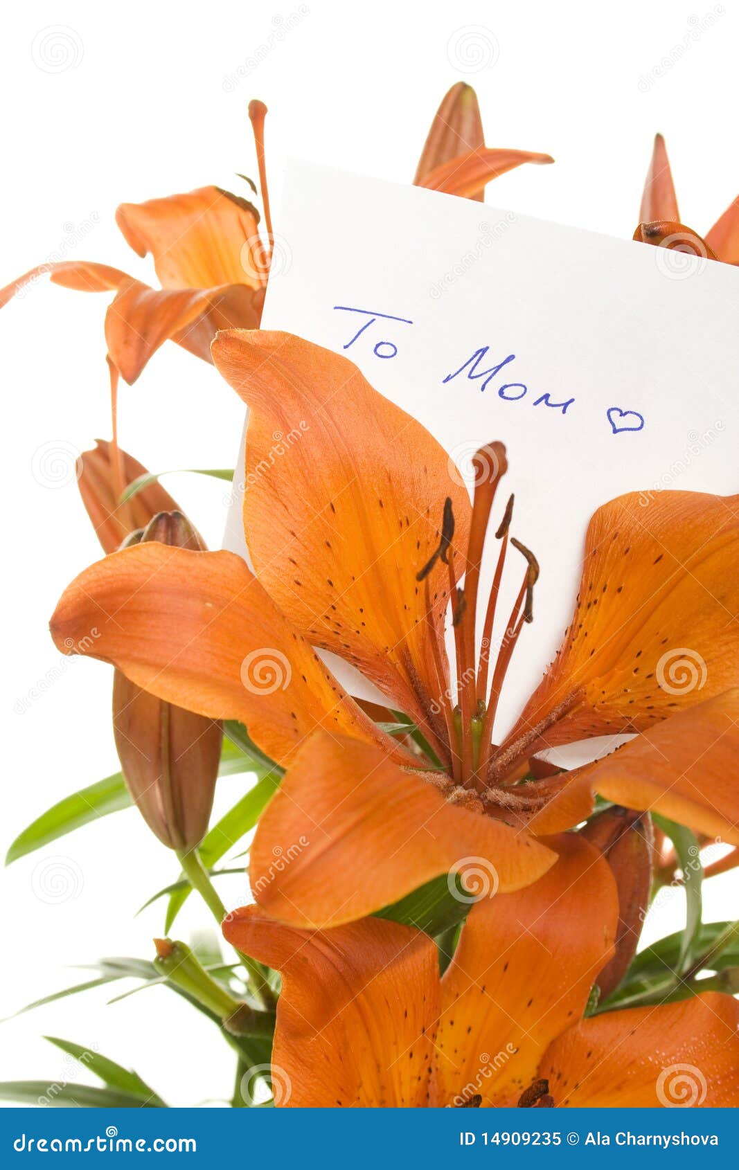 Flowers To Mom stock image. Image of brown, head, objects 14909235