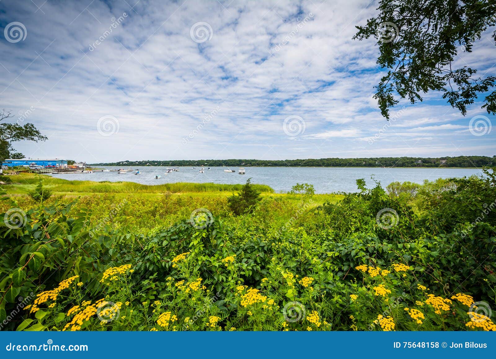 Flowers and Town Cove, in Orleans, Cape Cod, Massachusetts. Stock Photo