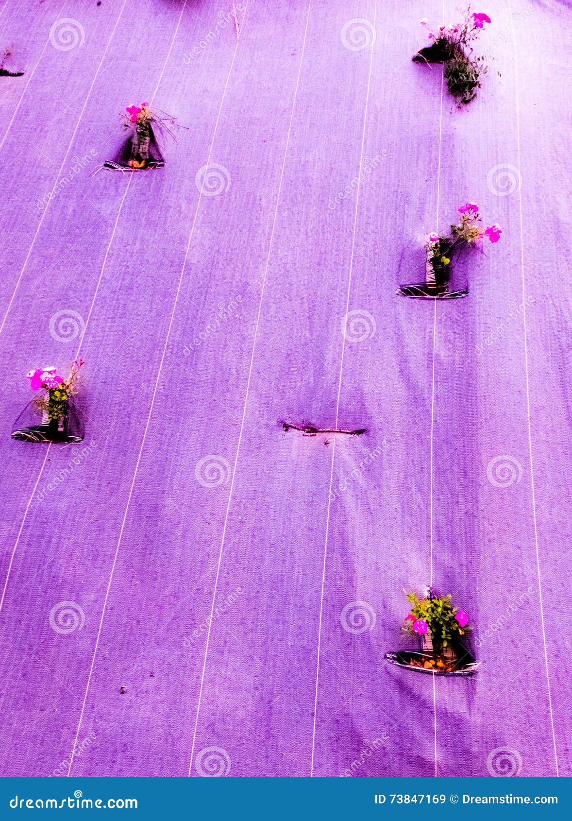 Flowers trapped in a tarp stock image. Image of environment 73847169