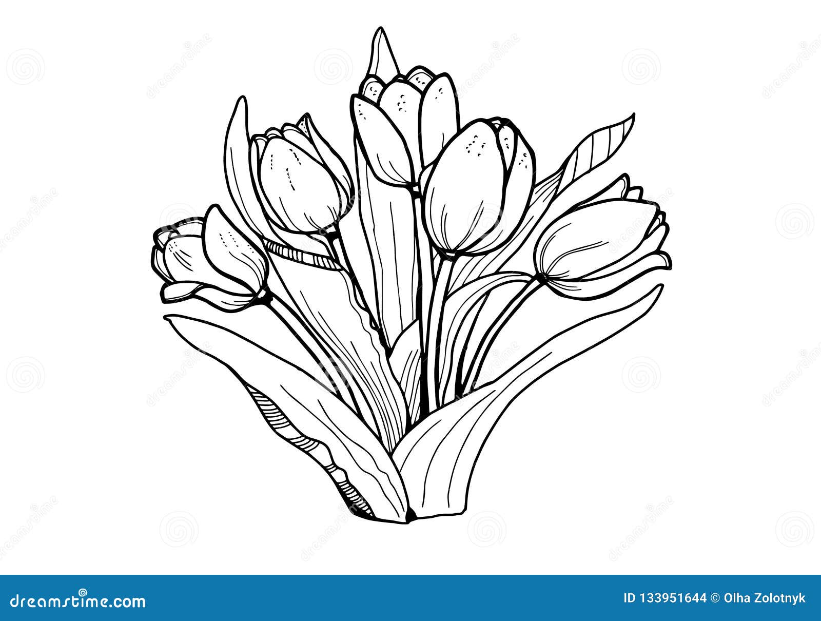 Flowers Tulips. Black and White Image . Coloring for Adults Stock ...