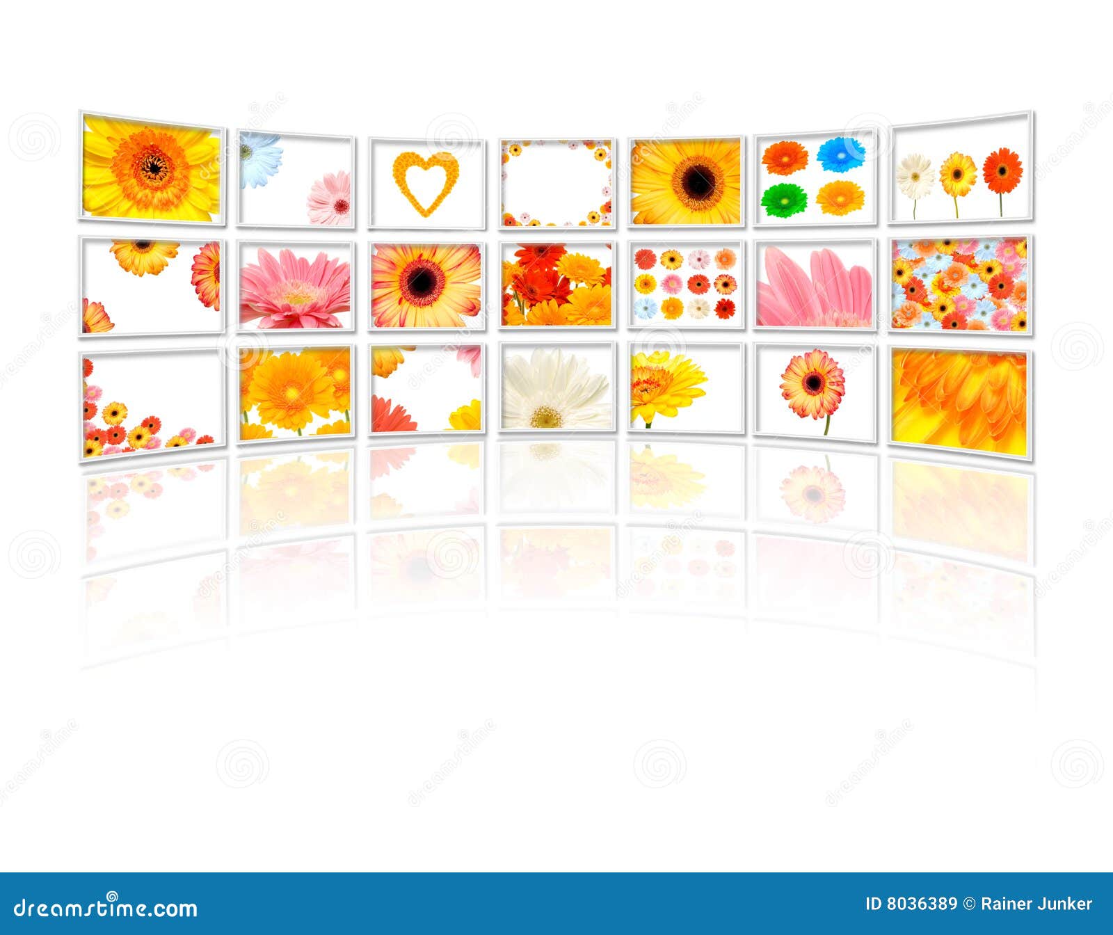 Flowers on tv stock image. Image of modern, gadget, entertainment 8036389