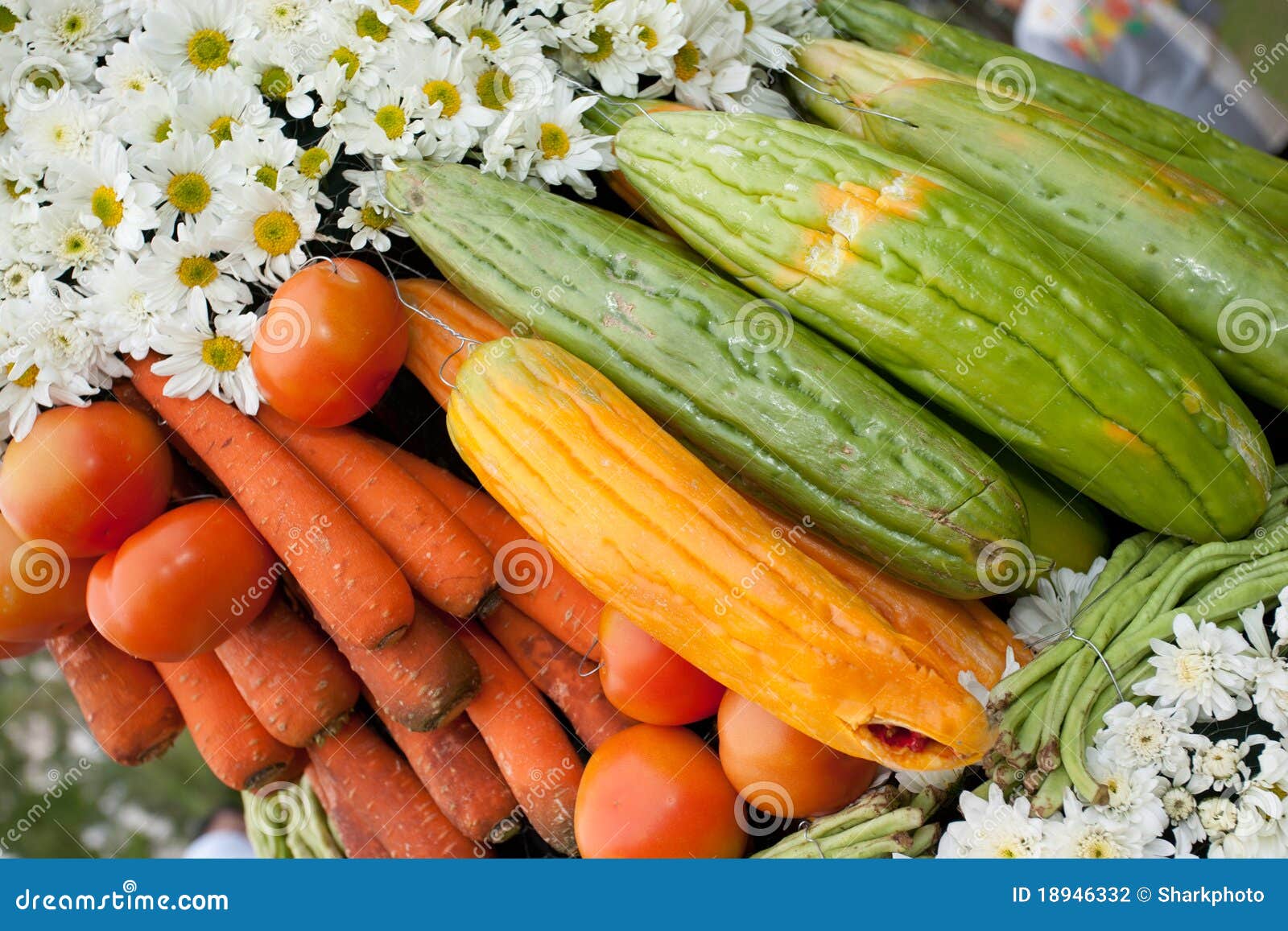 Flowers and Vegetables stock photo. Image of decorations 18946332