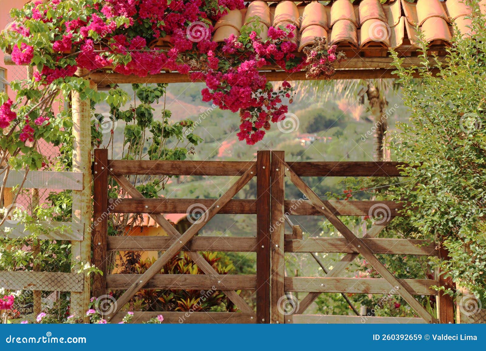 gate with vegetation and blooming bounganville  small community of cabeÃÂ§a de boi village in minas gerais
