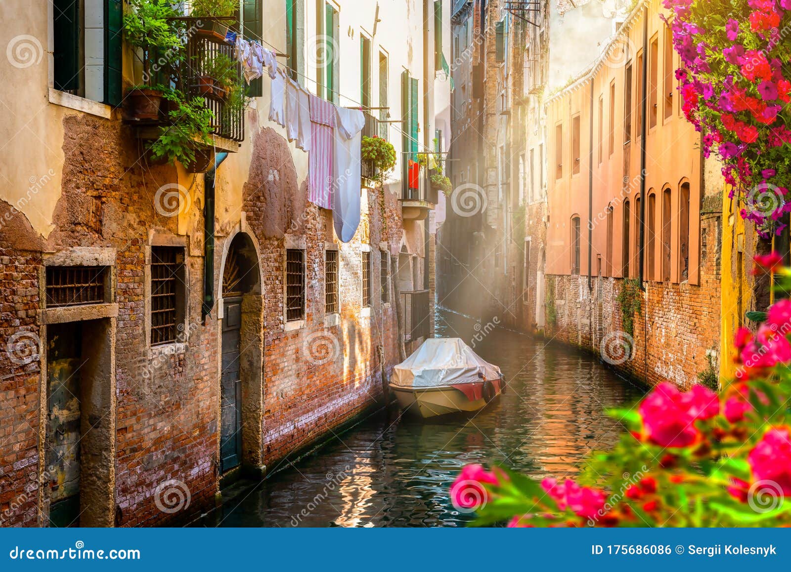 Flowers in Venice stock photo. Image of architecture 175686086