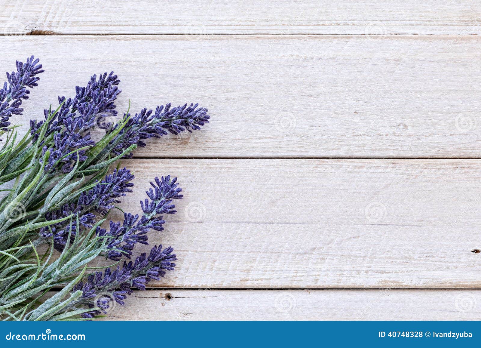 Flowers on vintage wood stock photo. Image of nature 40748328