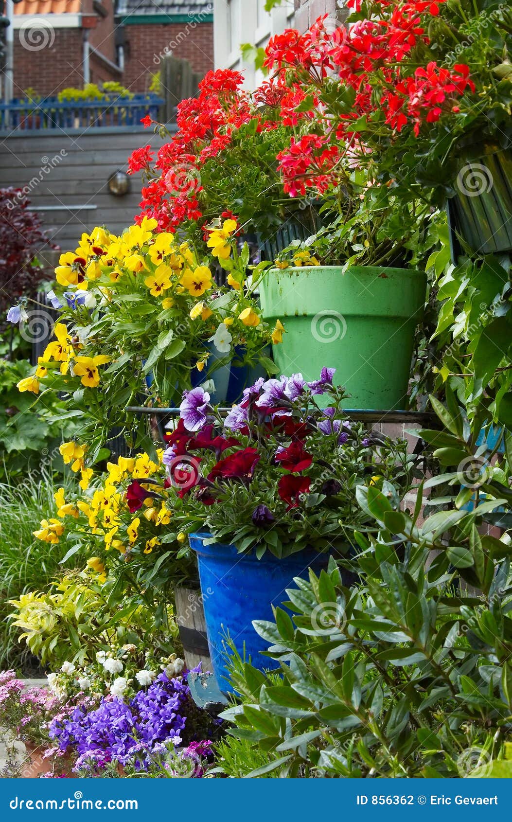 Flowers on the wall stock photo. Image of gardening, floral 856362