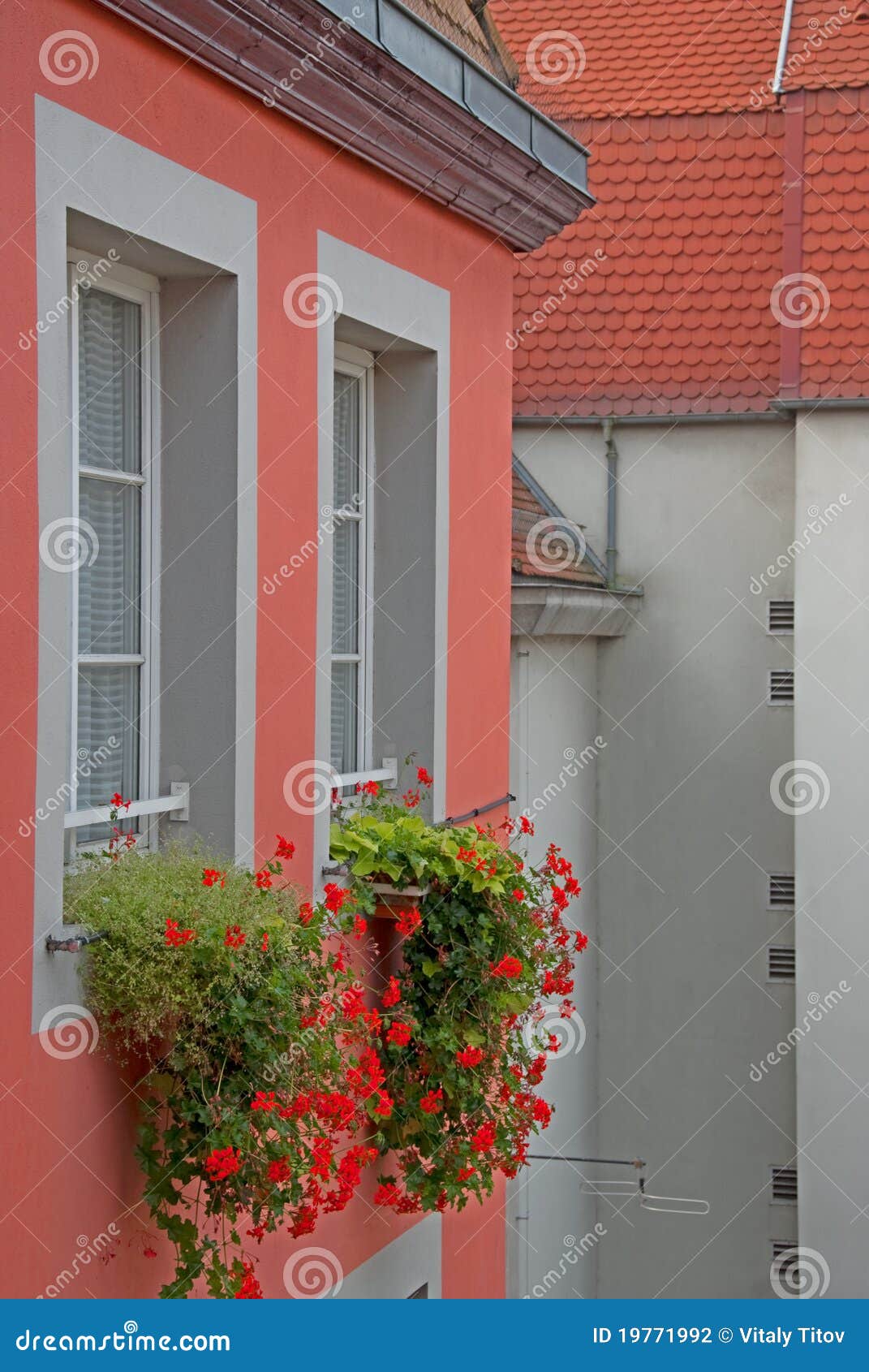 Flowers on windows stock photo. Image of construction 19771992